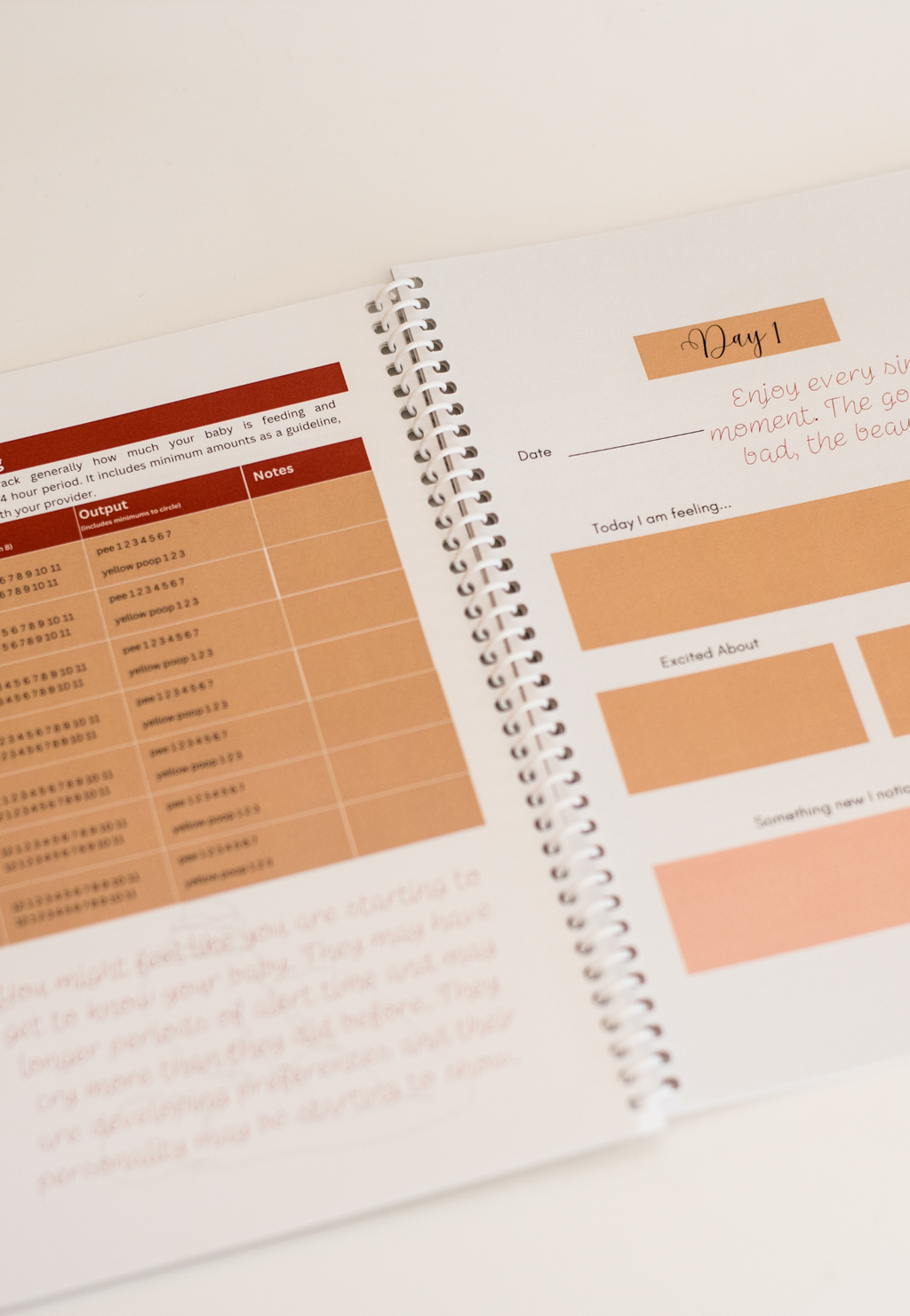 Postpartum Journal by Jess and Lee Maternity