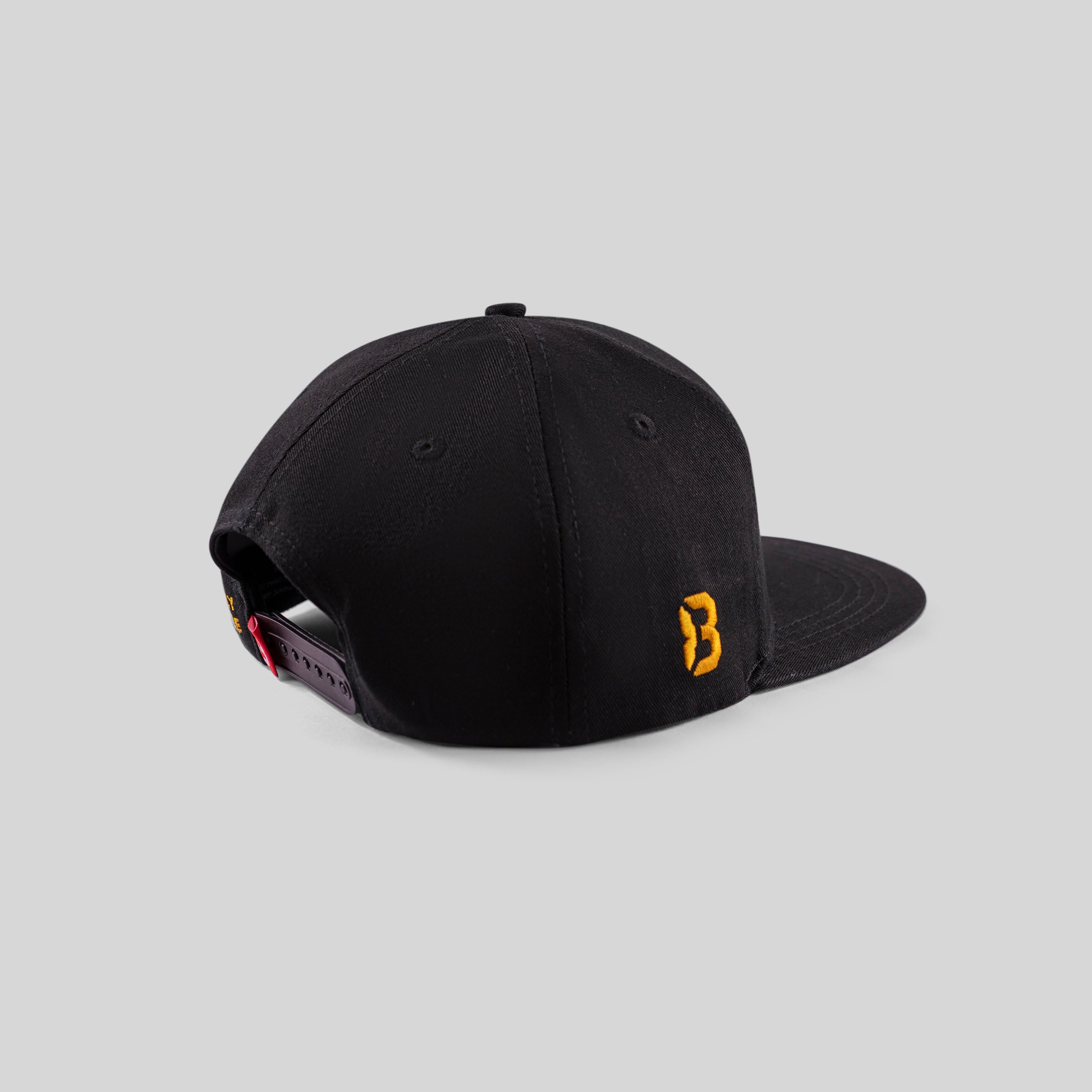 Alternate Logo Hat 'F'