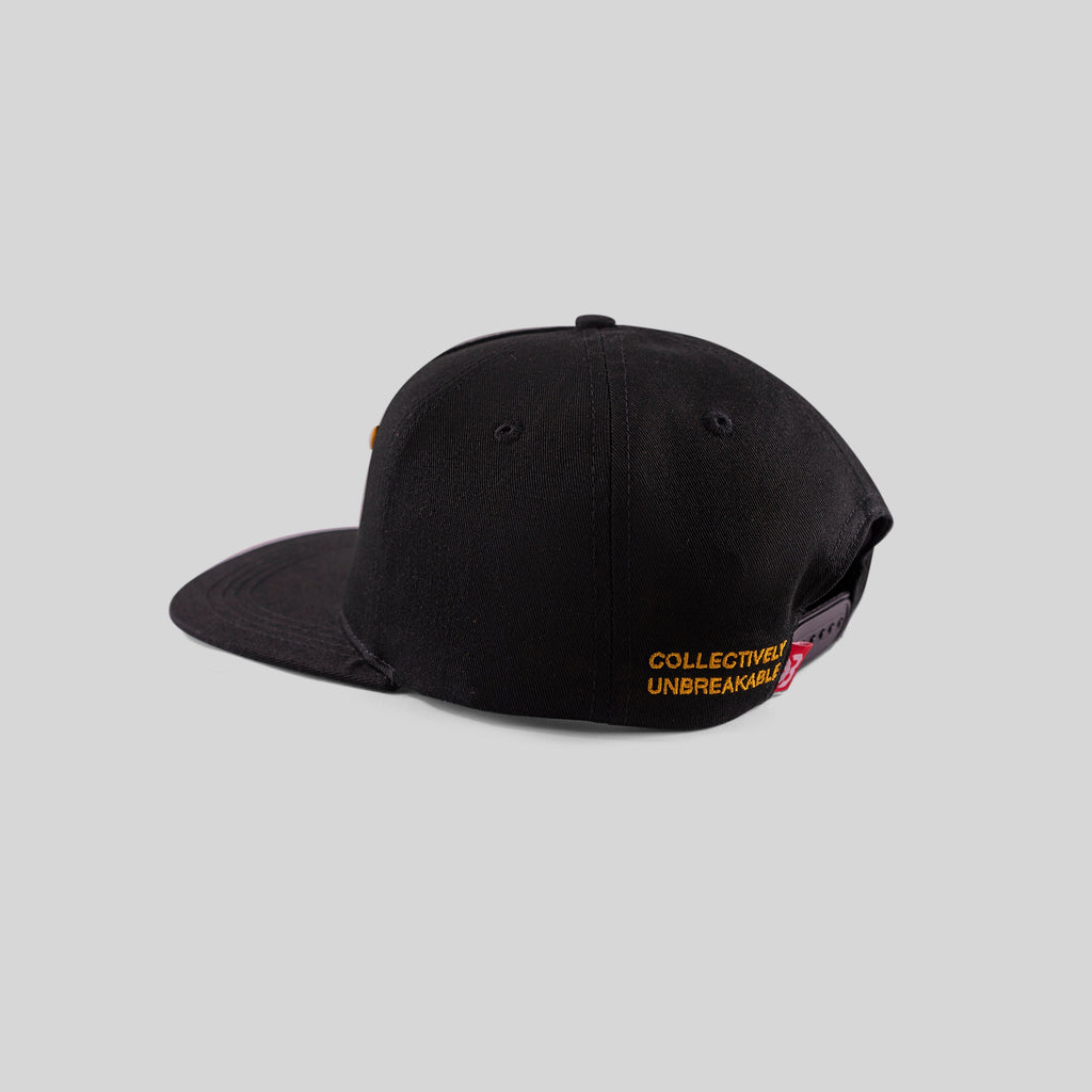 Alternate Logo Hat 'F'