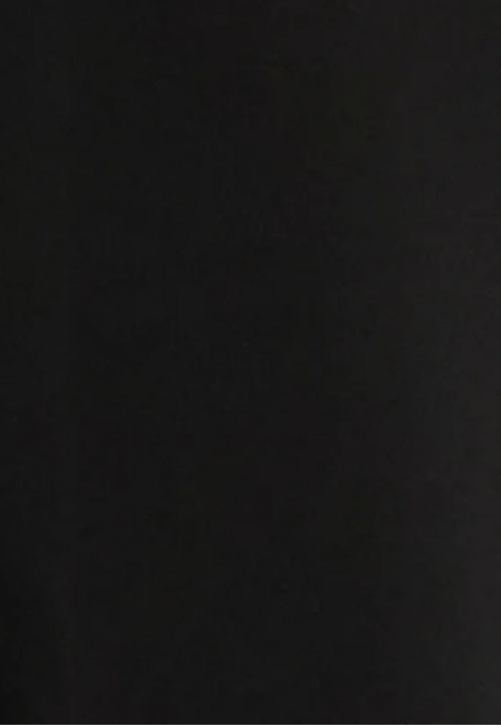 Alexa Wide Leg Maternity Pant Black