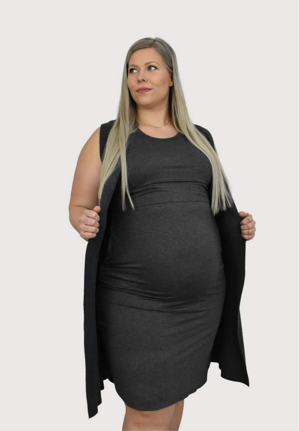 Randi Maternity & Nursing Dress