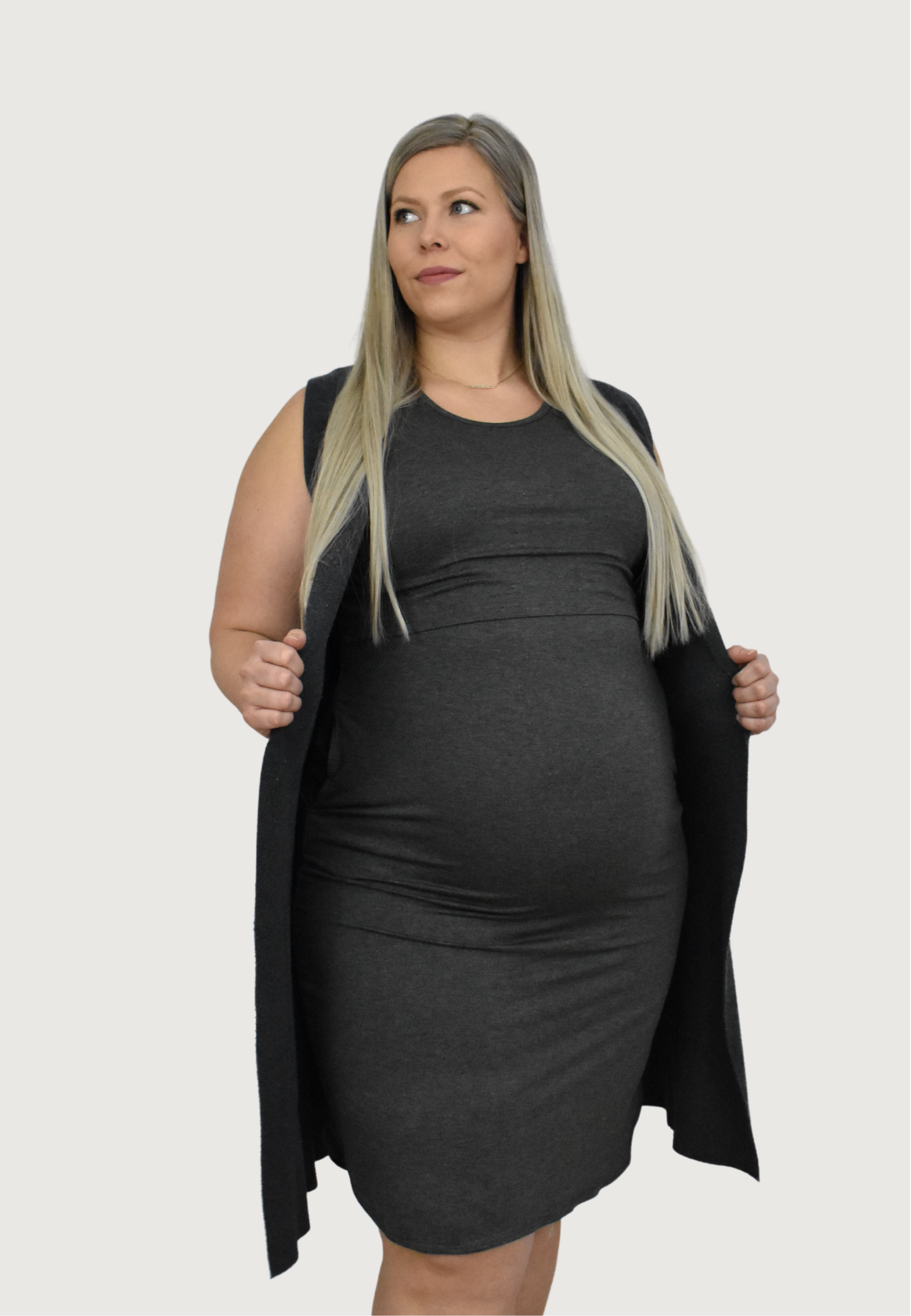 Randi Maternity & Nursing Dress